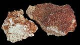 Lot - Quality Vanadinite Crystals on Barite - Pieces #59966-1